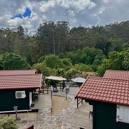 Mimosa Village - Turismo De Natureza Mortágua Eksteriør billede