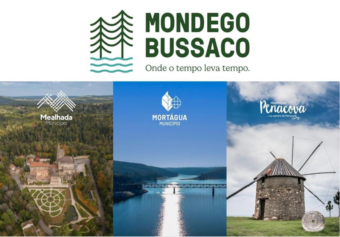 Mimosa Village - Turismo De Natureza Mortágua Eksteriør billede
